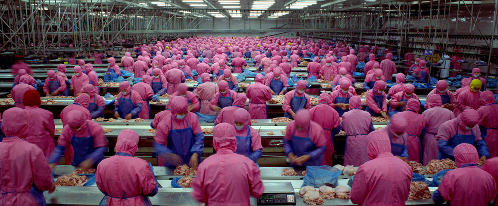Massenhaltung für Mensch und Tier: Geflügelfabrik in "Samsara" von Ron Fricke.