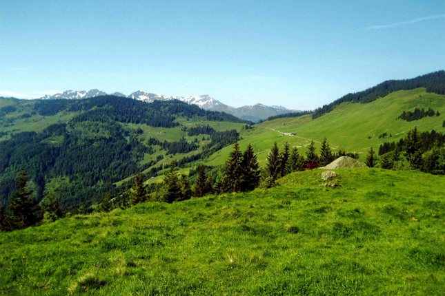 Blick vom Markbachjoch in Richtung Holzalm.