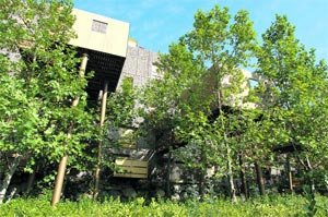 ... und Architekt Édouard François brachte
ein Haus zum Blühen. ... und Architekt Édouard François brachte
ein Haus zum Blühen.