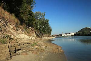 Gewollt wilde Donauufer jenseits von Hainburg: In den Abrisskanten der alten Steinbefestigung nisten nun Eisvögel. Gewollt wilde Donauufer jenseits von Hainburg: In den Abrisskanten der alten Steinbefestigung nisten nun Eisvögel.