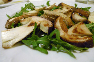 Funky Porcini, quasi. Und erfreulich fleischig. Funky Porcini, quasi. Und erfreulich fleischig.
