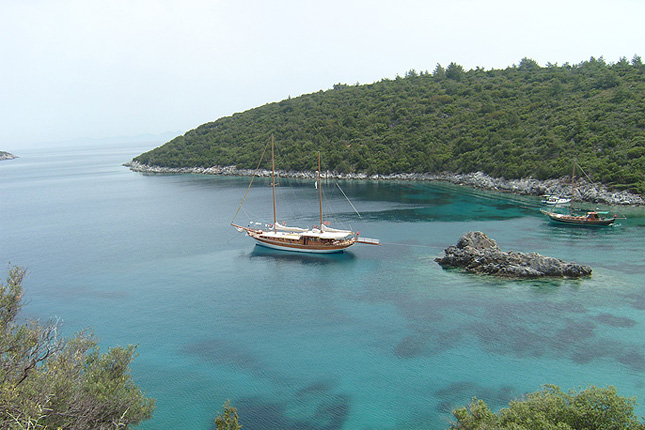 Eine Woche "Blaue Reise" kostet je nach Komfort zwischen 500 
und 3000 Euro. Zu buchen bei Ufuk Gürdemir. Jedes Jahr in der dritten Oktoberwoche findet in Bodrum 
eine große Segelregatta statt. Ein Ausflug in den Nachbarort 
Gümüslük bietet sich für den Abend an: Essen im "Aquarium", 15 Kilometer
 westlich von Bodrum, 30 Minuten Fahrzeit. Die berühmte 
Ausgrabungsstätte Ephesos mit Artemistempel ist von Bodrum in einer 
Stunde und 45 Minuten zu erreichen. Sehenswert ist ebenfalls das 
Ephesos-Museum in Selçuk.