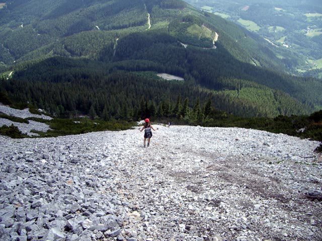 Bergsteigen, Klettersteige und Klettern