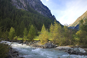 In zwei
Gemeinden haben sich die Bürger für den Bau ausgesprochen. Doch viele
andere Einheimische und Naturschützer leisten Widerstand gegen das
Projekt. In zwei
Gemeinden haben sich die Bürger für den Bau ausgesprochen. Doch viele
andere Einheimische und Naturschützer leisten Widerstand gegen das
Projekt.