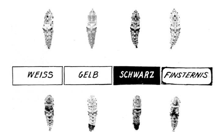 Artikelbild