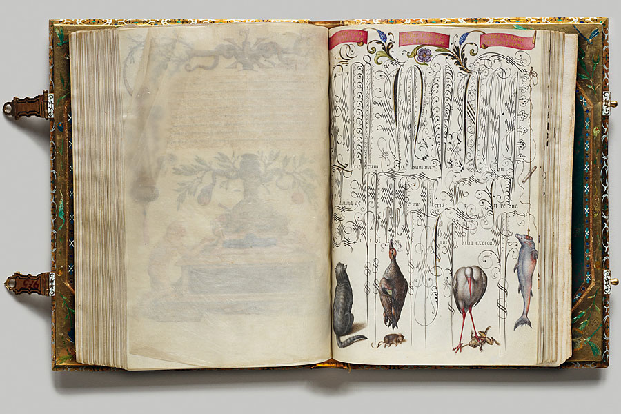 Faszinierende Symbiose aus Kalligrafie und Miniaturmalerei: Ed Ruscha meint, beim Betrachten dieser Wiener Schrift von Georg Bocskay (1571-73) Violinenmusik zu vernehmen. 