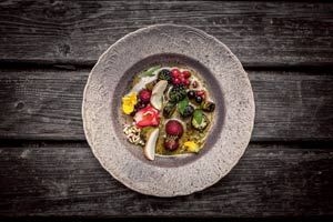 René Redzepi ließ eine Suppe aus fermentierten Pilzen mit allerhand wilden Beeren, gegrillter Gurke samt Blüten und Sonnenblumenkernen servieren. 