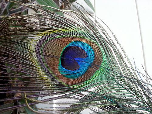 Foto mit dem Galaxy S3 aufgenommen - Link zur unkomprimierten Original-Aufnahme. 