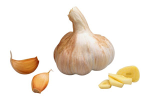Man kann getrost die Ware aus den Supermärkten oder von den
Marktstandeln nehmen, muss dann aber damit rechnen, dass nicht jede Zehe
schön antreiben wird. Man kann getrost die Ware aus den Supermärkten oder von den
Marktstandeln nehmen, muss dann aber damit rechnen, dass nicht jede Zehe
schön antreiben wird.