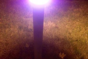 ...und bei schlechten Lichtbedingungen. ...und bei schlechten Lichtbedingungen.