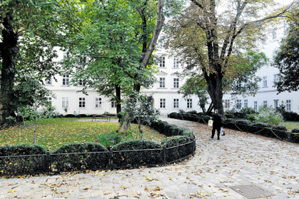 Im Innenhof des Biedermeierhauses "Am Heumarkt 7" im dritten Bezirk sollen zwei Glaswürfel für Büros errichtet werden. Die Bewohner fürchten nun um das Grün in ihrem Haus. Im Innenhof des Biedermeierhauses "Am Heumarkt 7" im dritten Bezirk sollen zwei Glaswürfel für Büros errichtet werden. Die Bewohner fürchten nun um das Grün in ihrem Haus.
