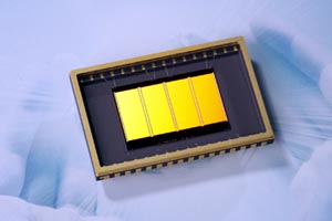 Samsungs neues Dateisystem ist für Flashspeicher optimiert. Samsungs neues Dateisystem ist für Flashspeicher optimiert.