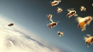 Bienen sind auch im Flug erstaunlich gut organisiert - Markus Imhoofs Dokumentarfilm begleitet sie nicht nur dabei.