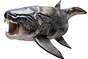Bereits die urzeitlichen Panzerfische hatten Zähne - hier ein Dunkleosteus. Eine virtuelle Kiefer-Sektion seines Verwandten Compagopiscis (unten) zeigt eine Zahnreihe und Wachstumslinien.