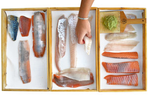 Serudas Fischbox samt frischem Wasabi auf der Haifischhautraspel.