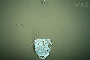 Eine OFOS-Aufnahme von Plastikabfall am arktischen Tiefsee-Observatorium "Hausgarten" in der Framstraße. In den letzten zehn Jahren hat sich die Menge an Müll auf dem arktischen Meeresboden nahezu verdoppelt. Eine OFOS-Aufnahme von Plastikabfall am arktischen Tiefsee-Observatorium "Hausgarten" in der Framstraße. In den letzten zehn Jahren hat sich die Menge an Müll auf dem arktischen Meeresboden nahezu verdoppelt.