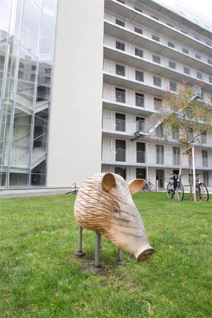 Ein Holzschweinchen wacht über das WG-Haus Citycom2. Ein Holzschweinchen wacht über das WG-Haus Citycom2.