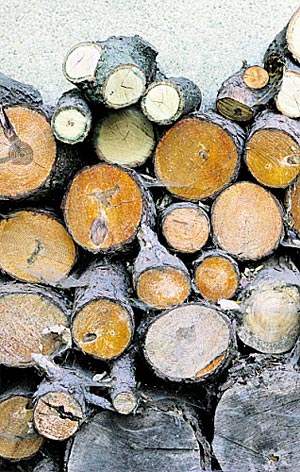 Materialwissenschaft forscht an feuerfesterem Holz. Materialwissenschaft forscht an feuerfesterem Holz.