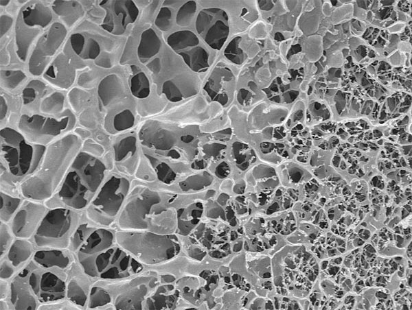 Das zähe Gelgerüst verhindert, dass Nanoteilchen von einer Pore zur nächsten wandert.