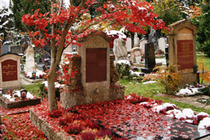 Acht Urnen haben im Grab am Kommunalfriedhof Platz. Foto: ruep Acht Urnen haben im Grab am Kommunalfriedhof Platz. Foto: ruep