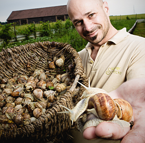 Sehenswürdigkeit der anderen Art: Wiener Schnecke. Sehenswürdigkeit der anderen Art: Wiener Schnecke.