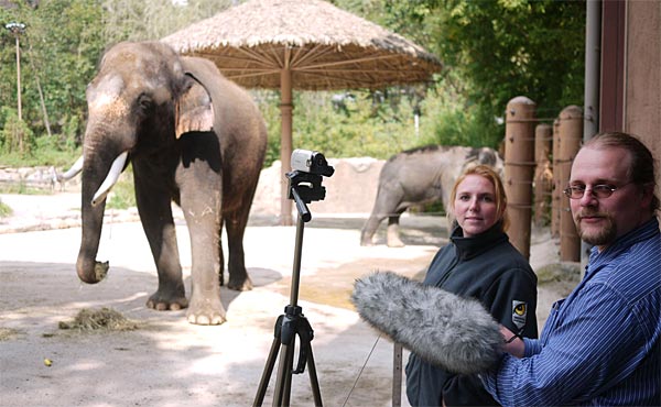 Koshik im Everland-Zoo beim "Interview" mit den Wissenschaftern Angela Stöger und Daniel Mietchen.