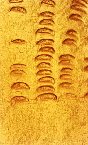 Detail aus einem Prägedruck von Hans Bischoffshausen in der Ausstellung " Monochromie und Reduktion II" Detail aus einem Prägedruck von Hans Bischoffshausen in der Ausstellung " Monochromie und Reduktion II"
