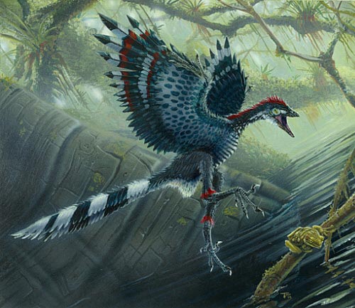 Der Ur-Vogel Archaeopteryx&nbsp; beherrschte bereits den Flug, doch seine noch recht primitiven Flügel erschwerten vermutlich den Start und das langsame Fliegen.