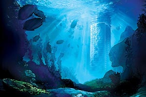 "Sunken Condos"
"Sunken Condos"