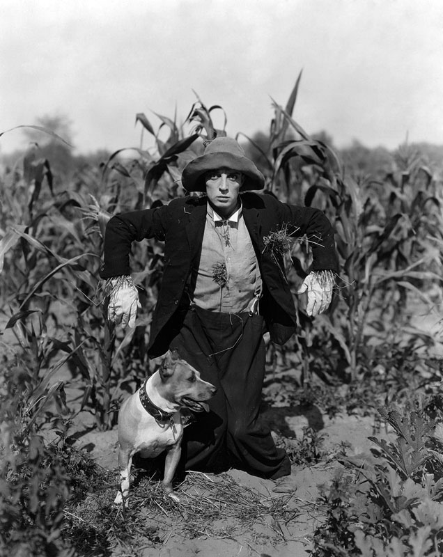 Buster Keaton in "The Scarecrow", zu Deutsch etwas abweichend: "Trauung 
mit Hindernissen" (1920).
