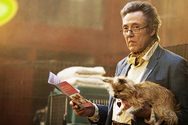 Ein Haupterwerbs-Hundeentführer: der einzigartige Christopher Walken in "7 Psychos". 