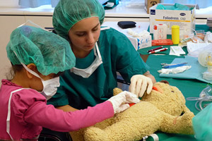 Einführung in die Anatomie: Ein Teddybär, bei dem sich der Bauch öffnen lässt und die Organe herausgenommen werden können. Einführung in die Anatomie: Ein Teddybär, bei dem sich der Bauch öffnen lässt und die Organe herausgenommen werden können.
