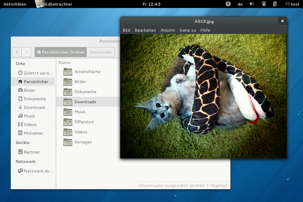 ...aber auch sonst bietet die aktuelle Desktop-Version jede Menge Neues, etwa den Umbau des Dateimanagers Nautilus. (Katzenfoto nicht im Lieferumfang, Anm.)