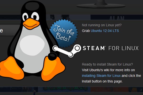 Beim Download von Steam taucht prominent der Linux-Pinguin auf.