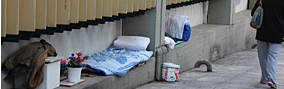 foto: diestandard.at/eks