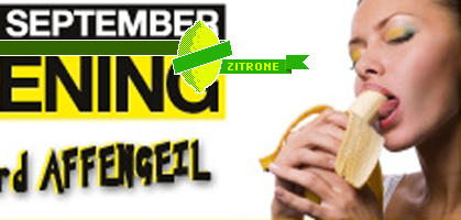Foto: Montage/dieStandard.at