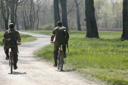 foto: der standard/christian fischer