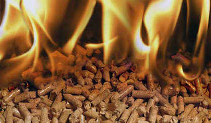 www.propellets.at