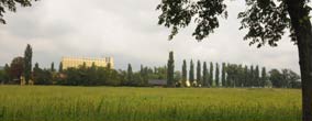 foto: gubisch