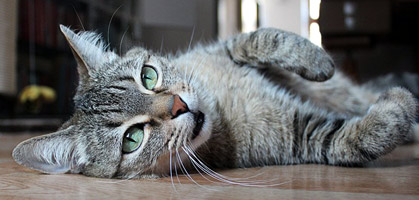 foto: privat