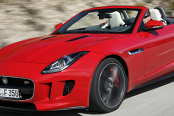 foto: jaguar foto: jaguar