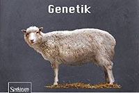 Titelbild