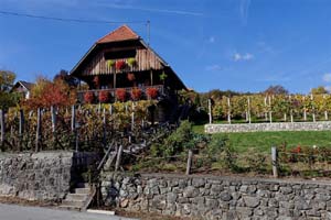 Titelbild
