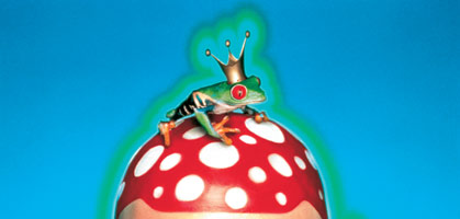 Titelbild