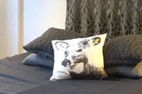 Titelbild