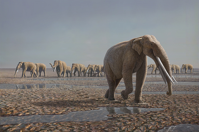 Titelbild