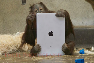 Titelbild