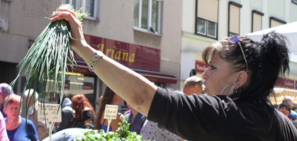 Titelbild