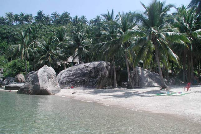 Titelbild