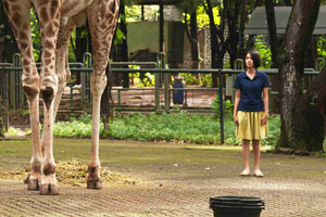 Titelbild